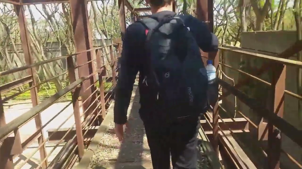 Vidas passadas se encontram no caradiru 