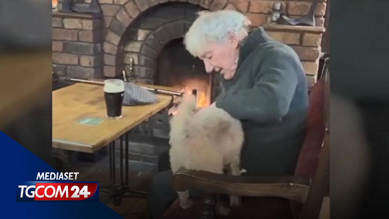 Un cagnolino e un anziano solo: lo spot di Natale che vi farà piangere