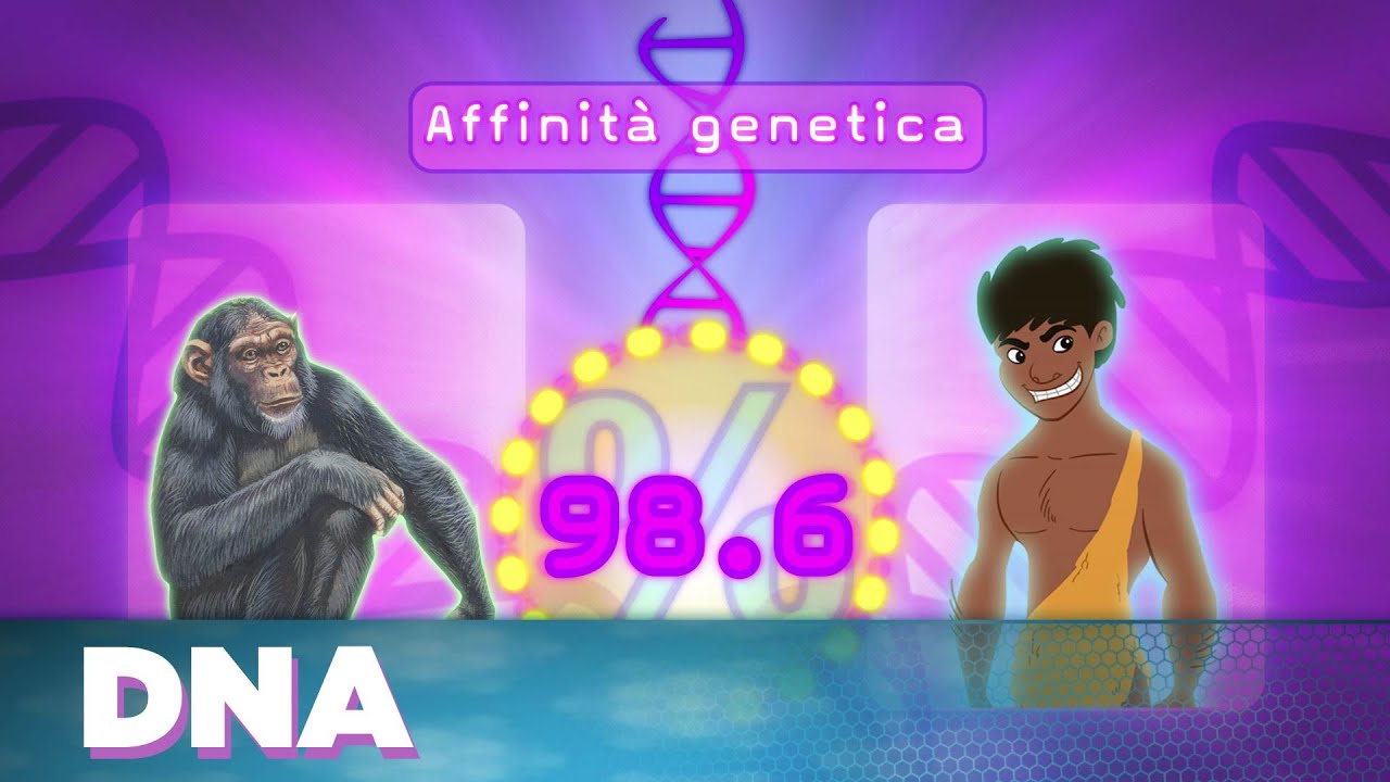 Big Bang! Un Viaggio nell'Evoluzione - I Geni e il DNA con Telmo Pievani