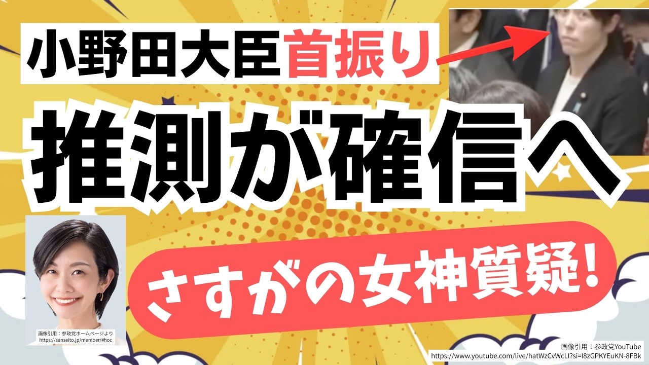【確信に変わった！】参政党・梅村みずほ議員が外国人政策に対して「女神」質疑！表情豊かな小野田大臣が分かりやすすぎ（笑）