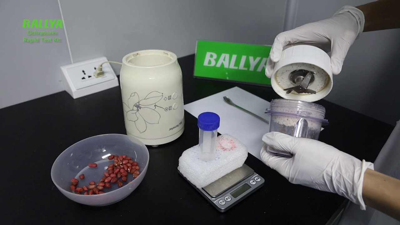 Ochratoxin Test - Detection of Ochratoxin in Peanut - BALLYA