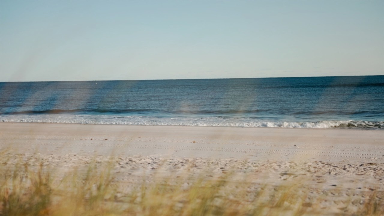 Speak Wealth Into Existence | Daily Money & Abundance Affirmations