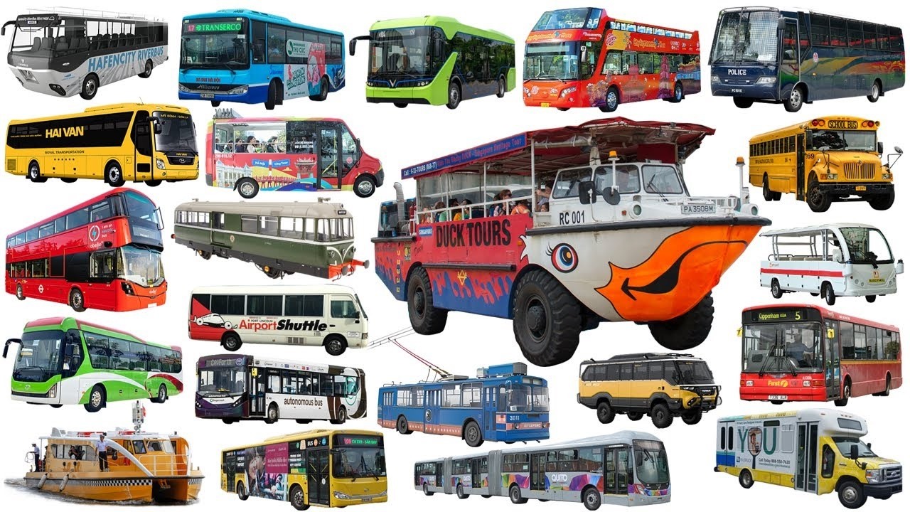 Buses Name for Kids | The Big Bus Collection: School, City, and Double Decker! #bus #vehicles