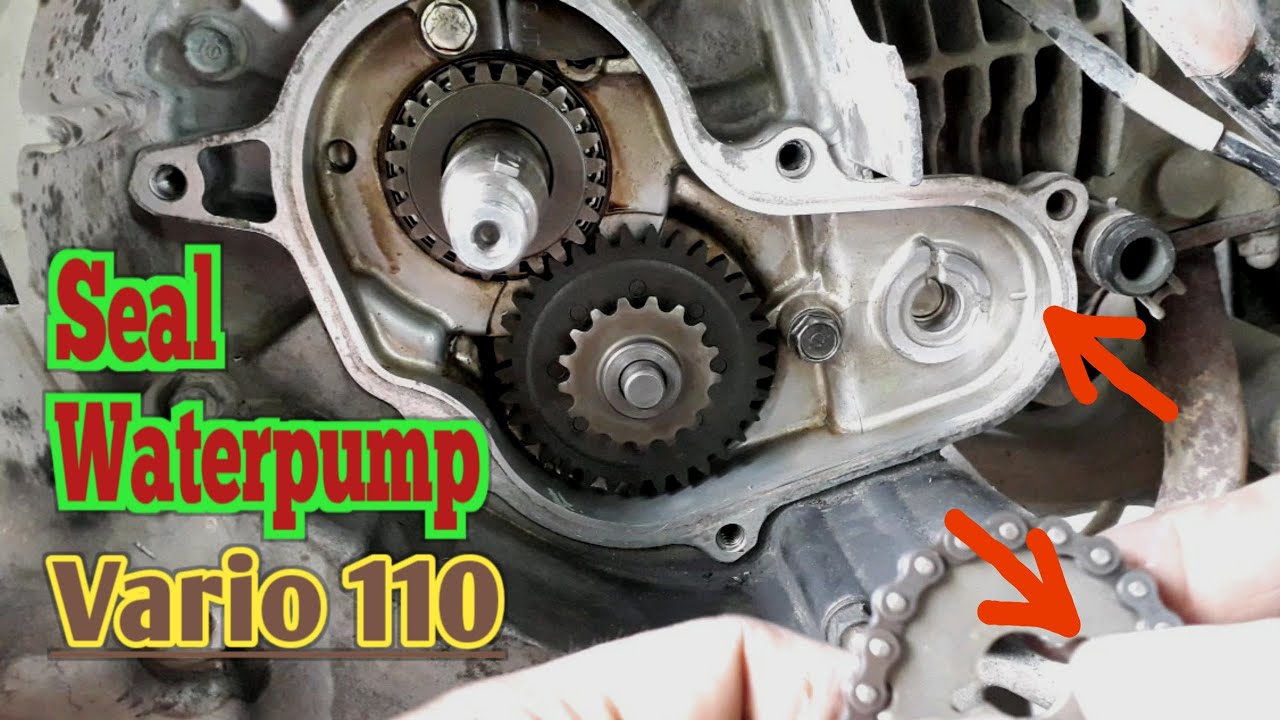 Cara mengganti seal waterpump vario 110 UNTUK PEMULA #KakexChannel
