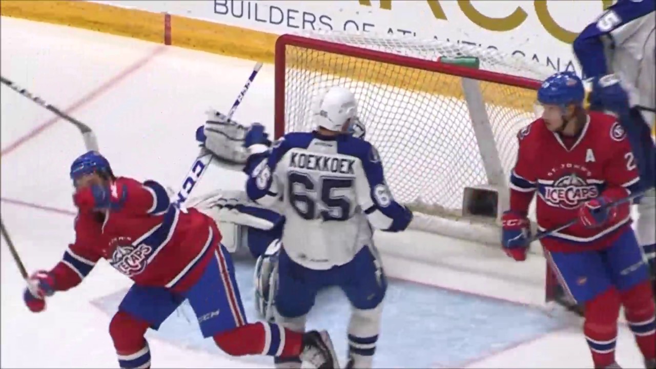 Charles Hudon Highlight 2016-2017