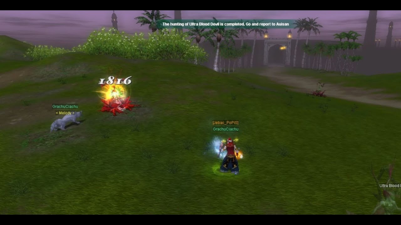 Day 44 of being a hero - Making a bouquet of 750 flowers! - Silkroad private server 'PROJECT 65'