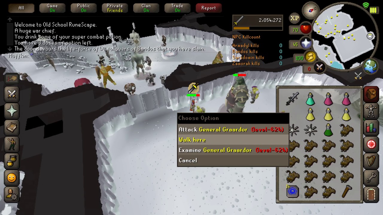 Bandos Boss General Graardor Slayed on OSRS Mobile (Solo)