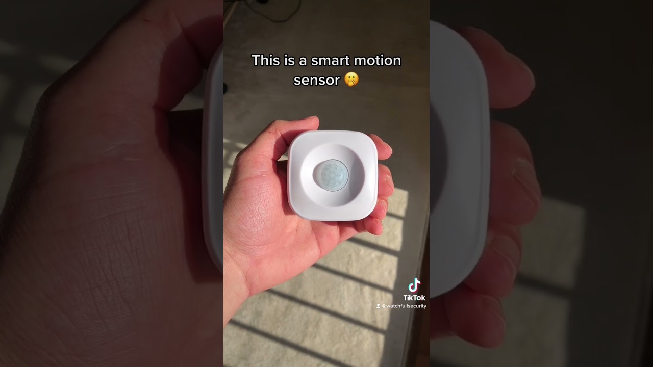 Do you have a smart motion sensor? 🫢#thieves#safety#security#house#alarm#family