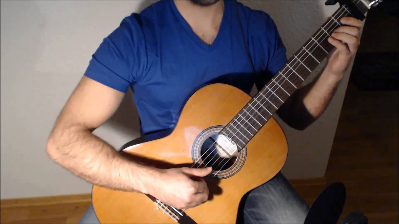 Fi's Gratitude - The Legend of Zelda: Skyward Sword on Guitar