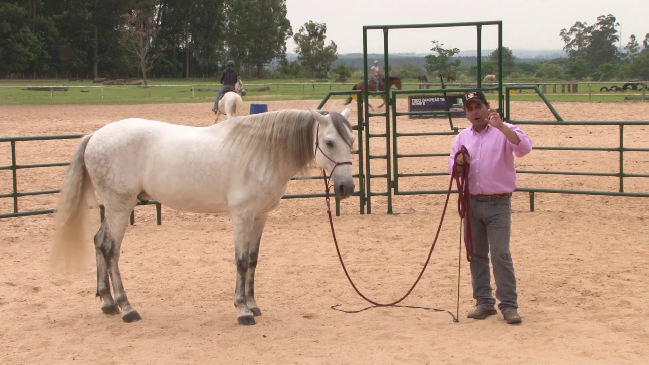 TV UC - Exercício de guia para ativar o posterior