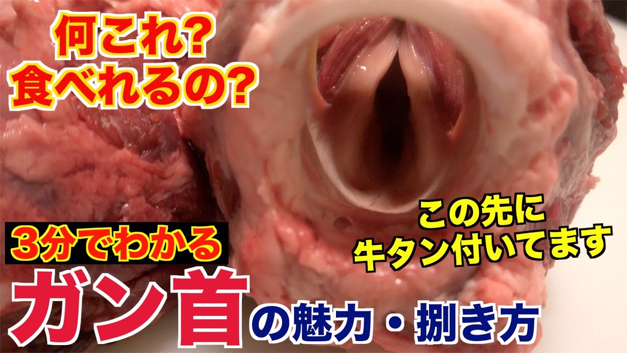 【捨てないで!!】牛のガン首の魅力と捌き方