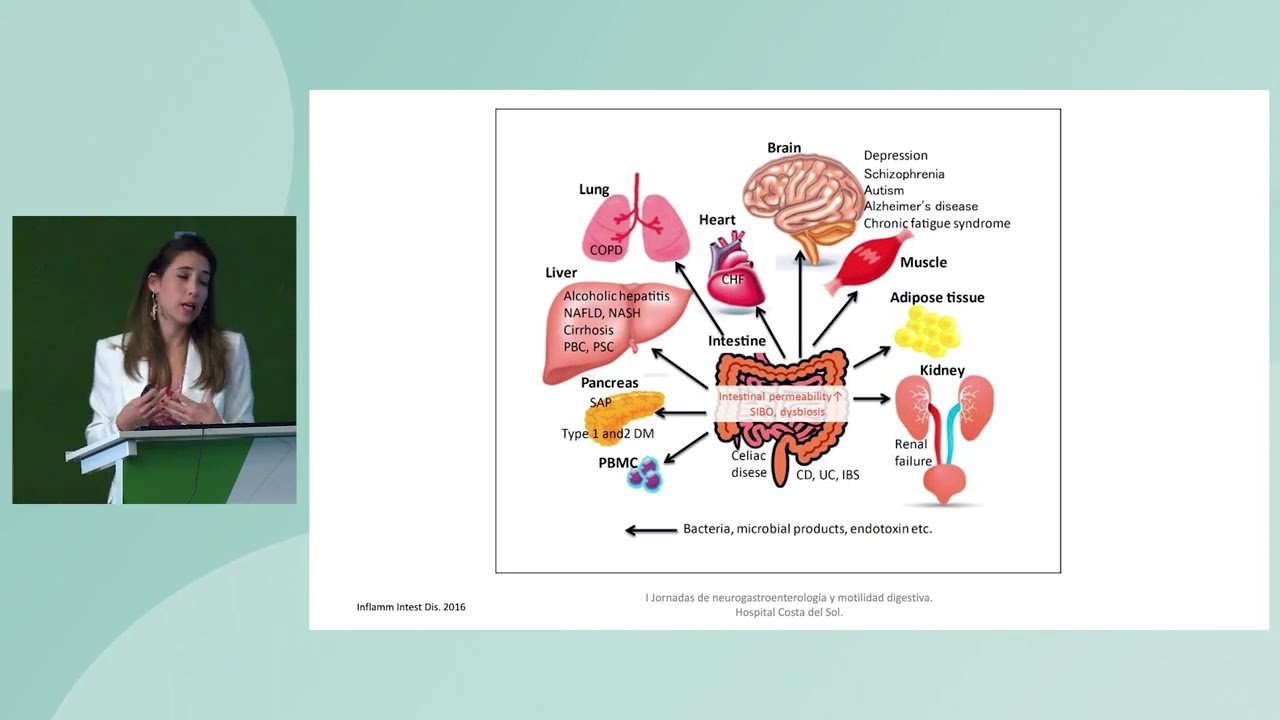Permeabilidad intestinal. Papel en trastornos funcionales. Dra. Marina Puya Gamarro