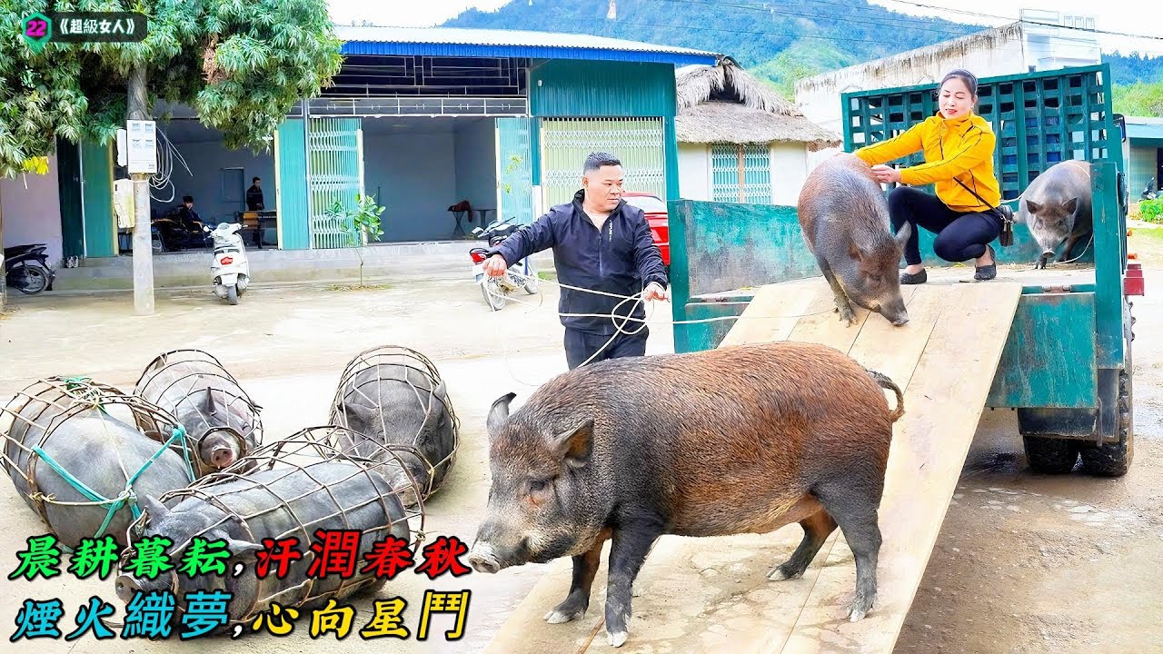 晨耕暮耘，汗潤春秋；煙火織夢，心向星鬥《超級女人》22