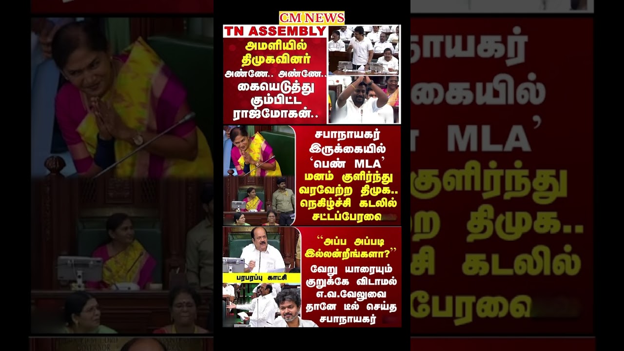 TVK Thalapathy vijay anna || #tvk#dmk#admk#congress#bjp#breakingnews#news#thalapathy#vijay