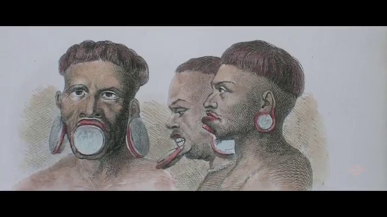 DOCUMENT&Aacute;RIO: Brasil Col&ocirc;nia (1500-1808)