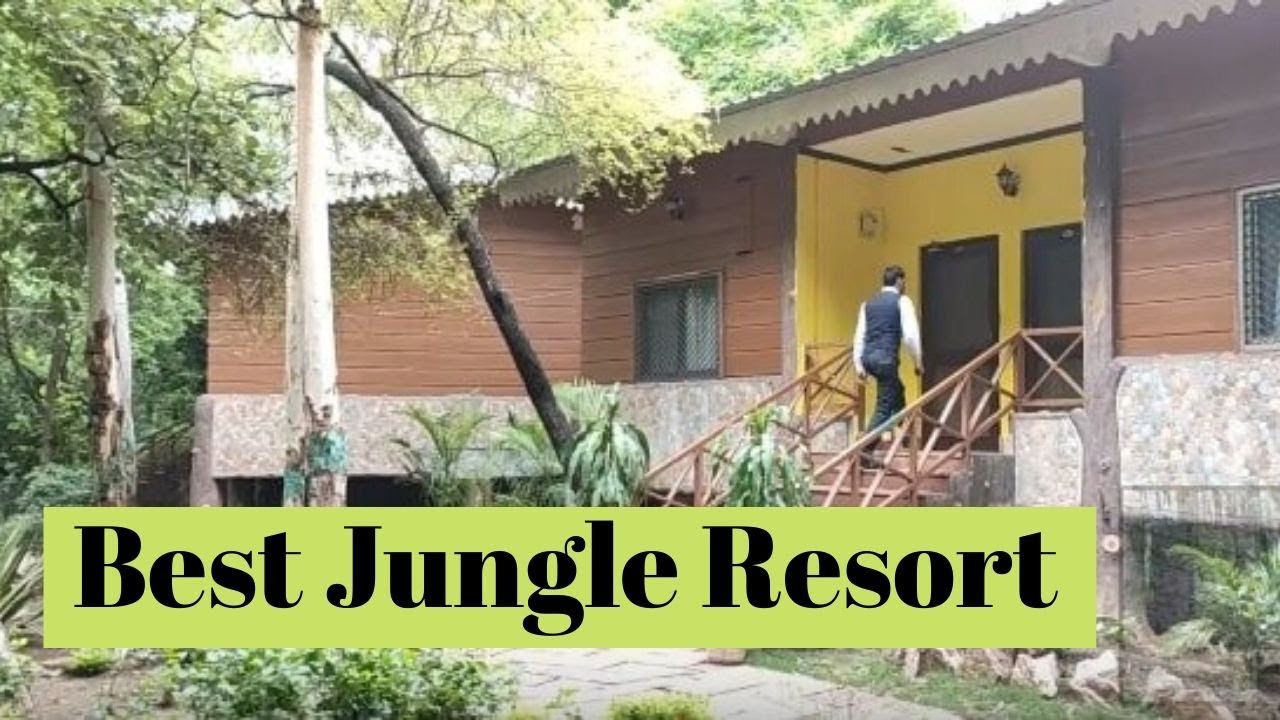 Best Jungle Resort in Madhya Pradesh | Udaygiri Tree House