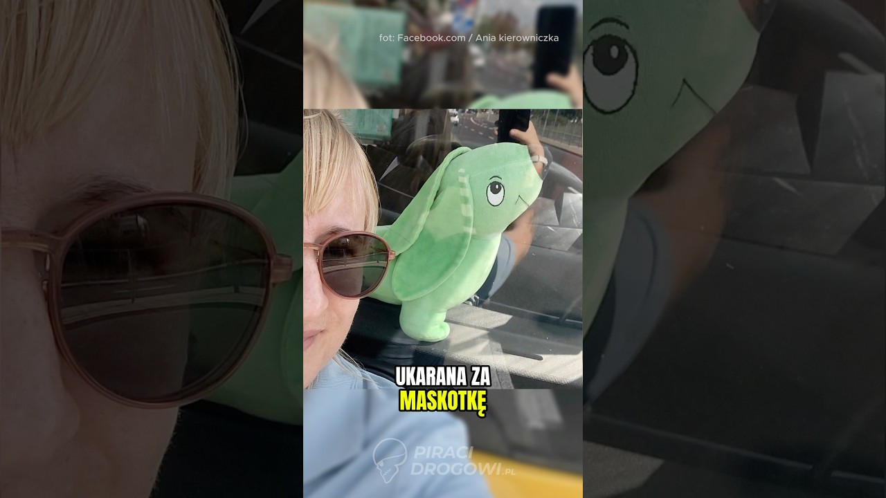 🚌 Kierowca autobusu miejskiego w Warszawie ukarana mandatem za&hellip; pluszowego jamnika za szybą 🤨