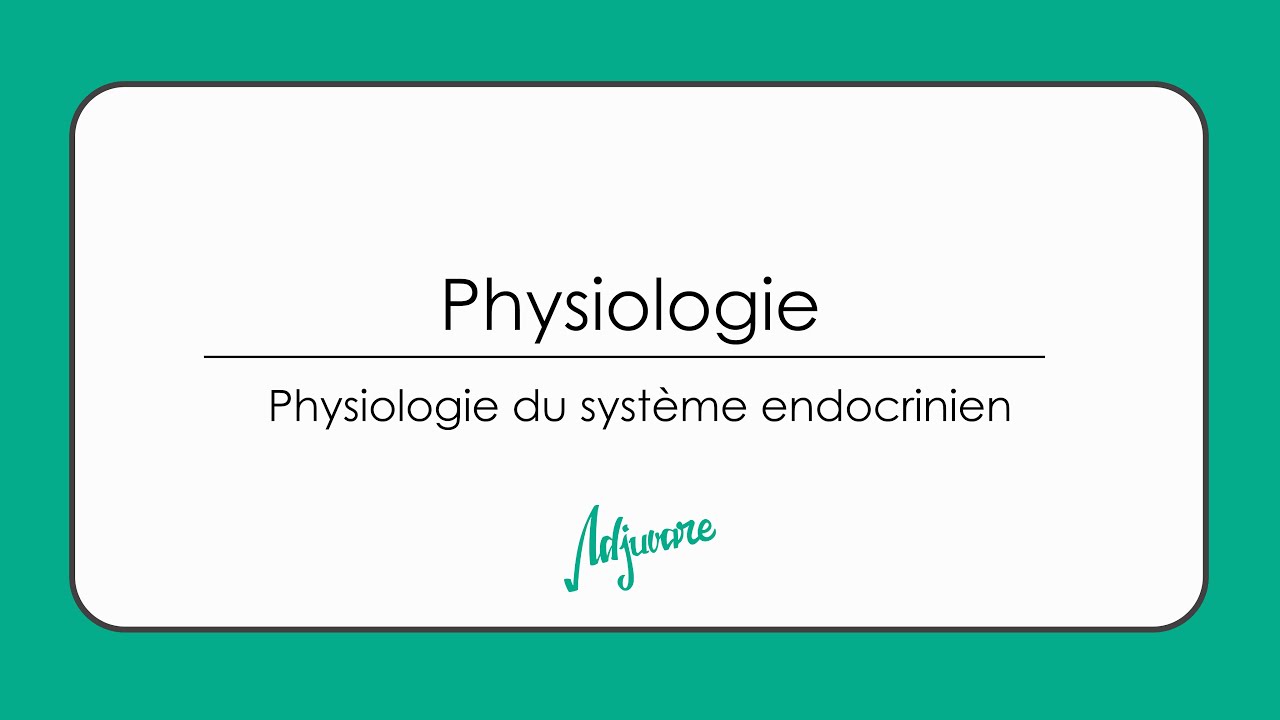 Tutorat physiologie : Physiologie du système endocrinien