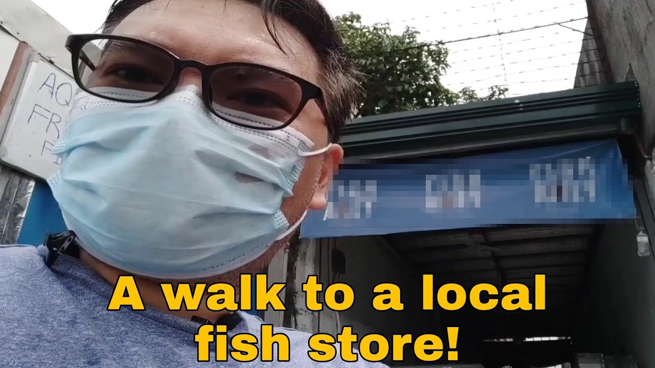 Another Local Fish Store Visit