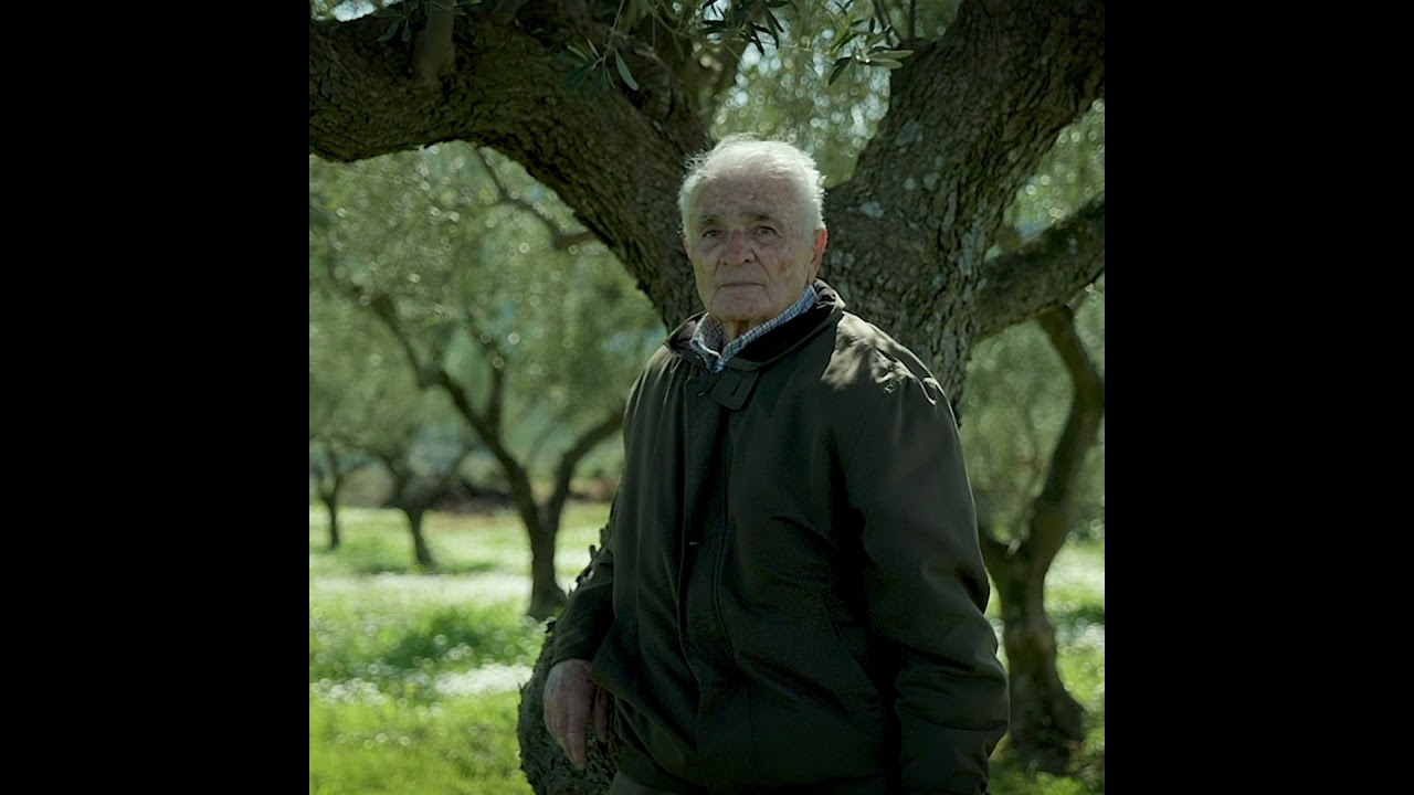 Μαρτυρία ενός Χίτη