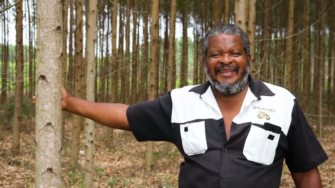 Forestry Sector's vital role in climate change mitigation and adaptation