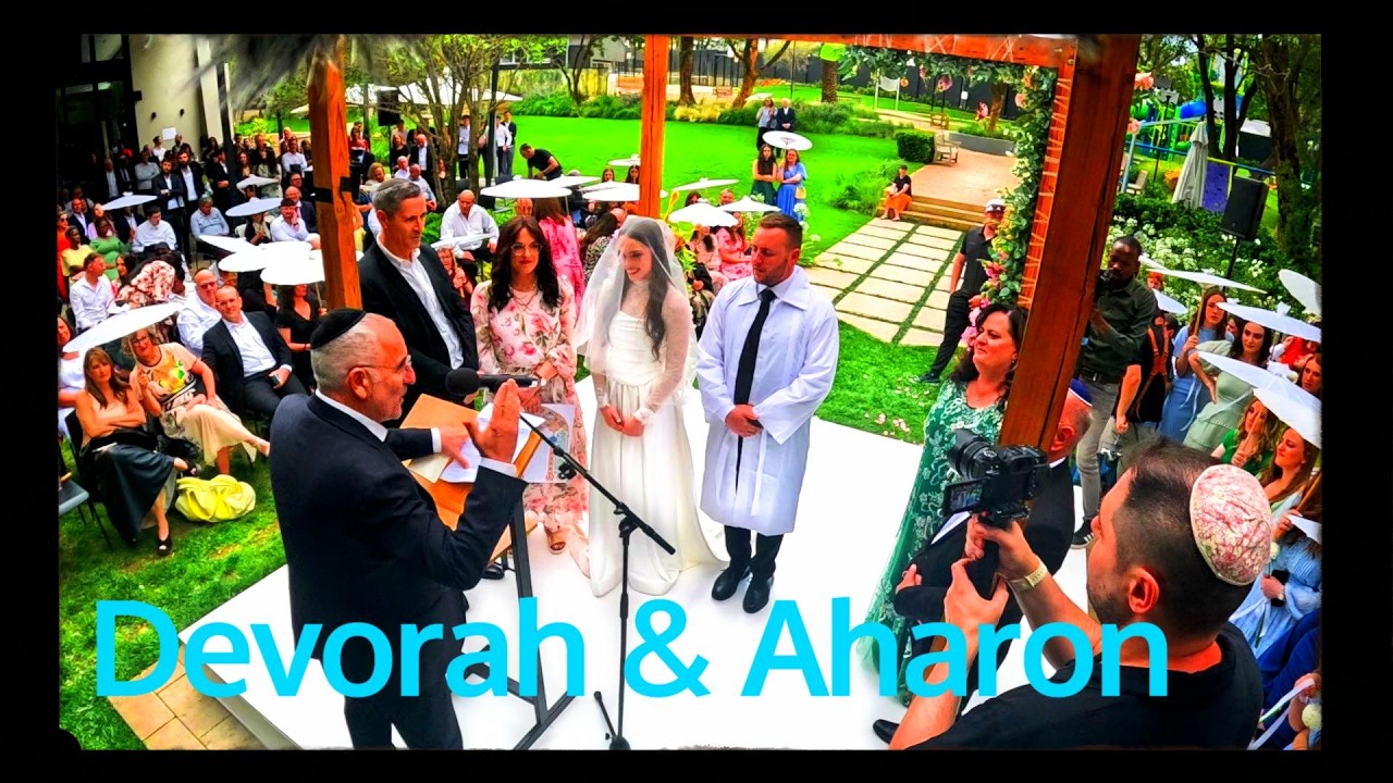 Segal hodes chupa Highlights 
