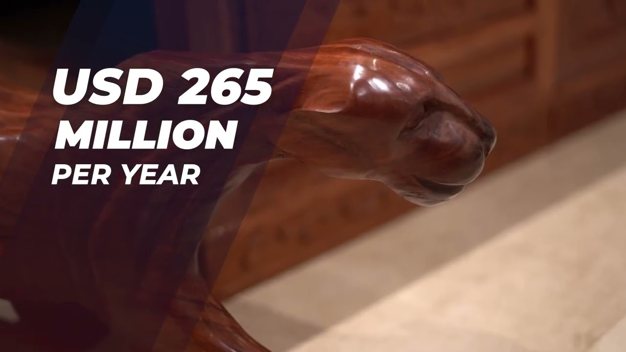 ARISE IIP Corporate video 2023
