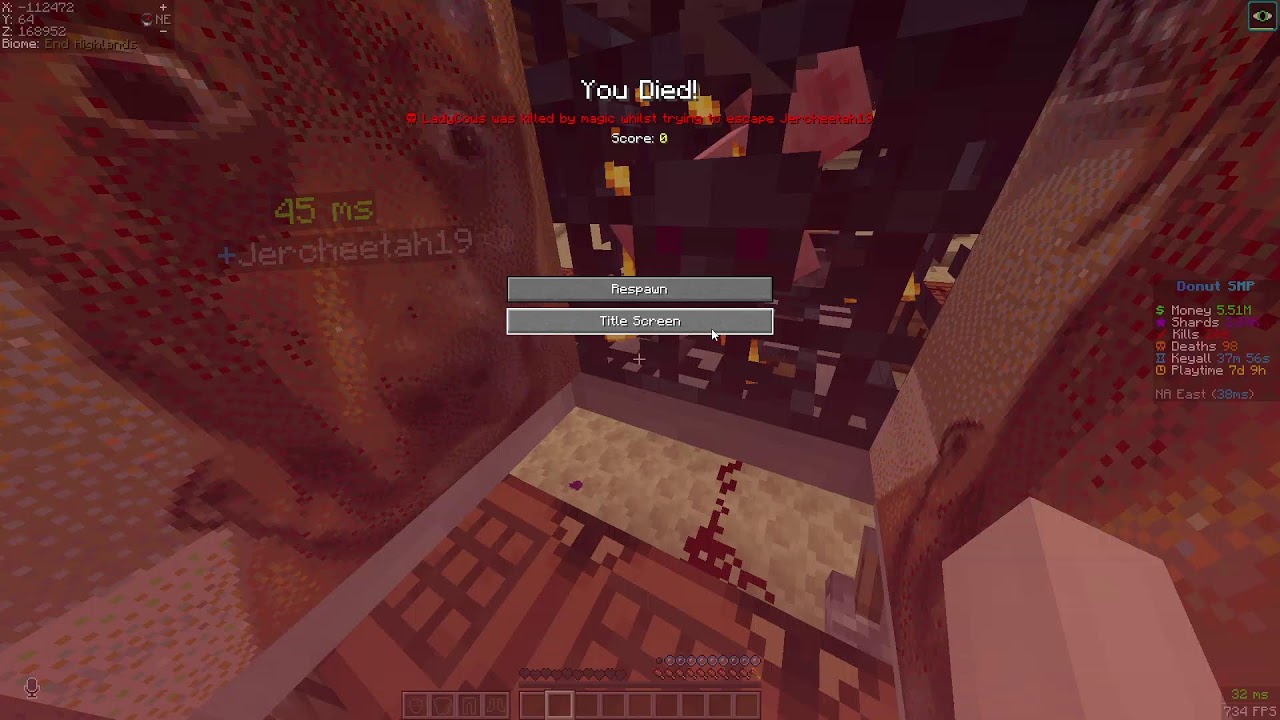 blowing up streamers in donut smp #donutsmp