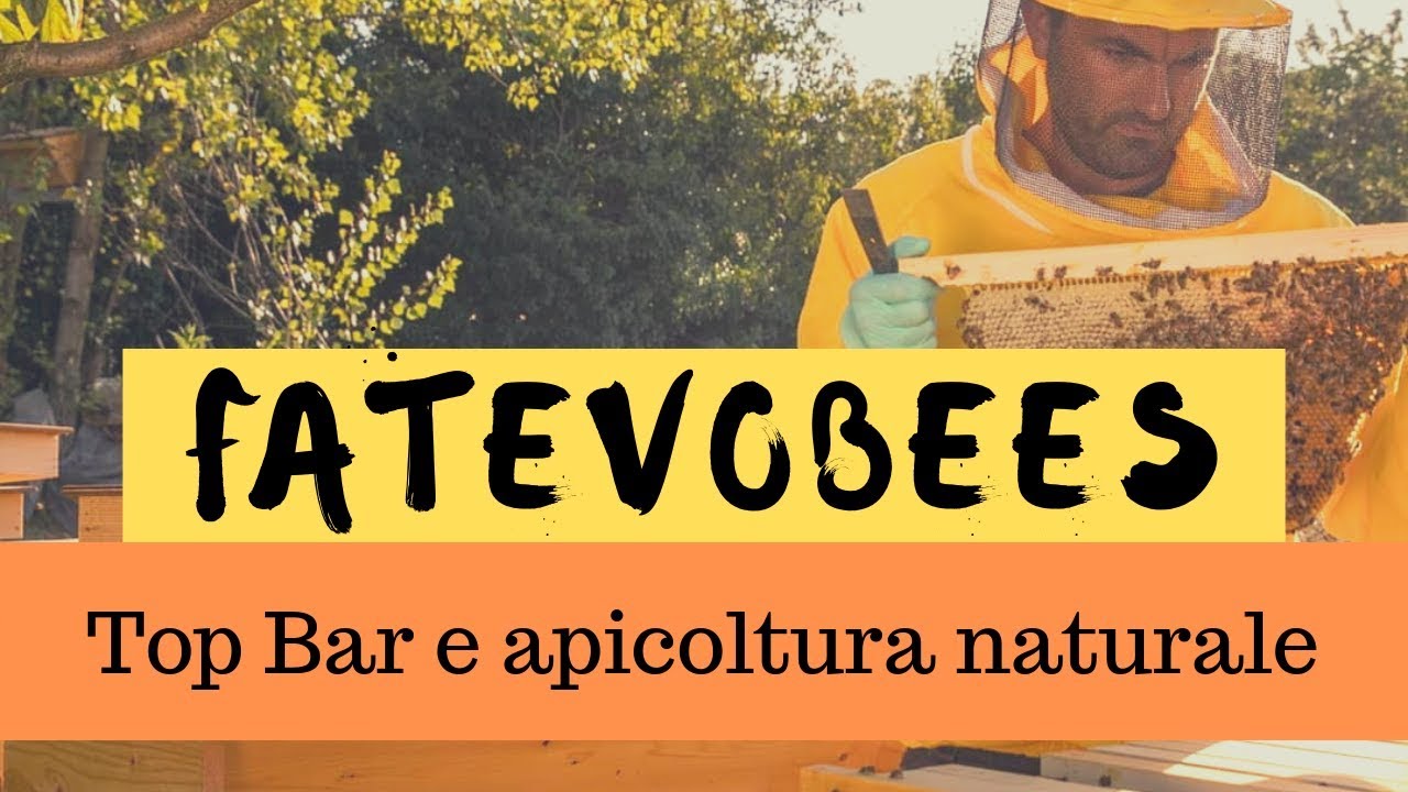 Fatevobees: apicoltura naturale con arnie top bar - Inter-BEE-ste di Vitamina Bee