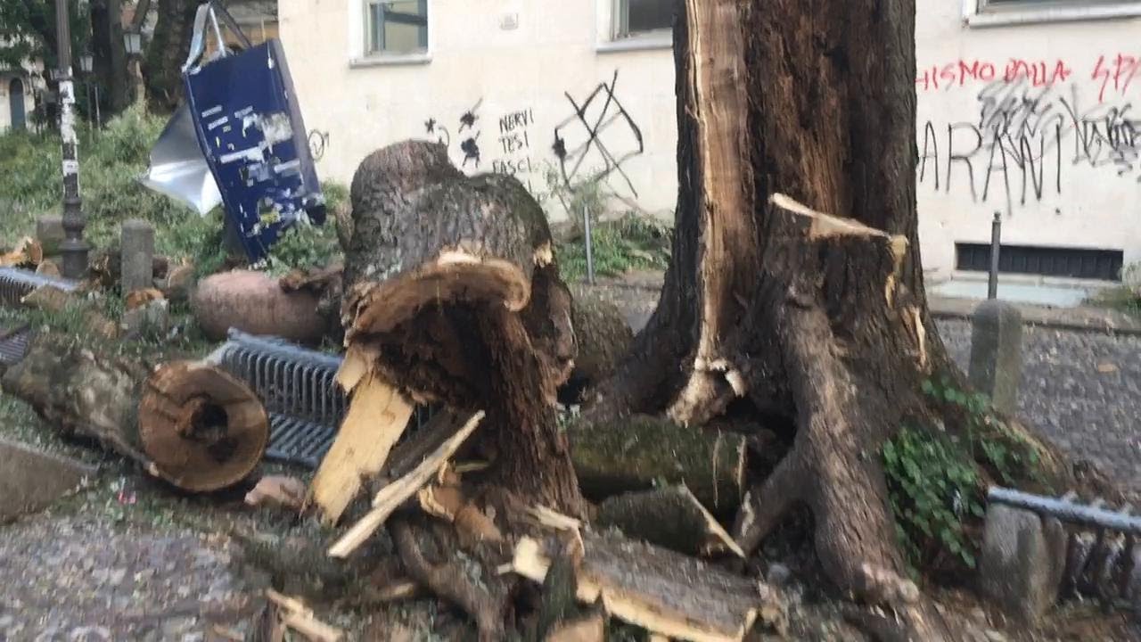 Piazza Capitaniato devastata dal nubifragio: strage di alberi