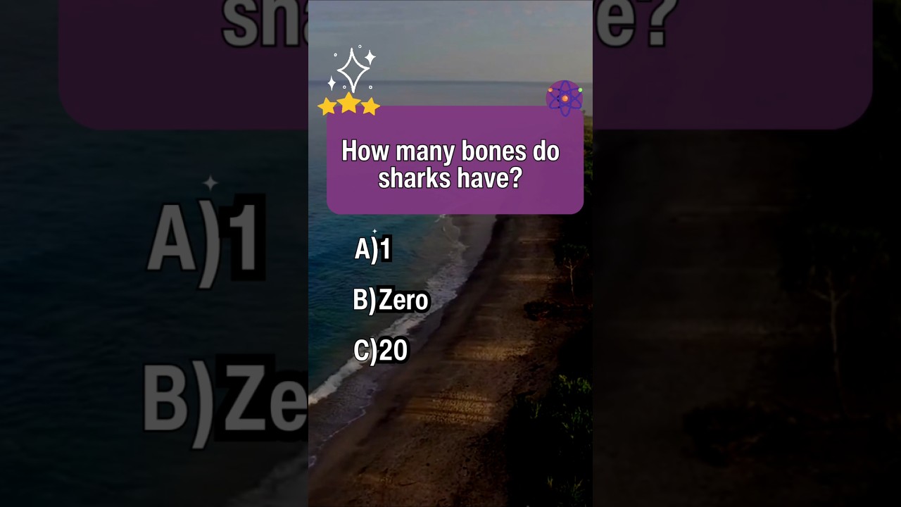 Quiz Hub-Too easy?👈How many correct answers did you get? #trivia #quiz #gameplay #fyp #games