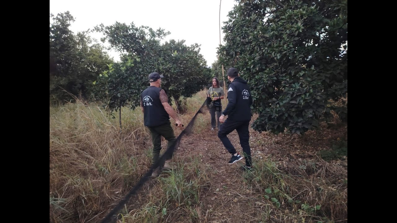 Huge sting against illegal bird trapping ‘farm’ in Lebanon.