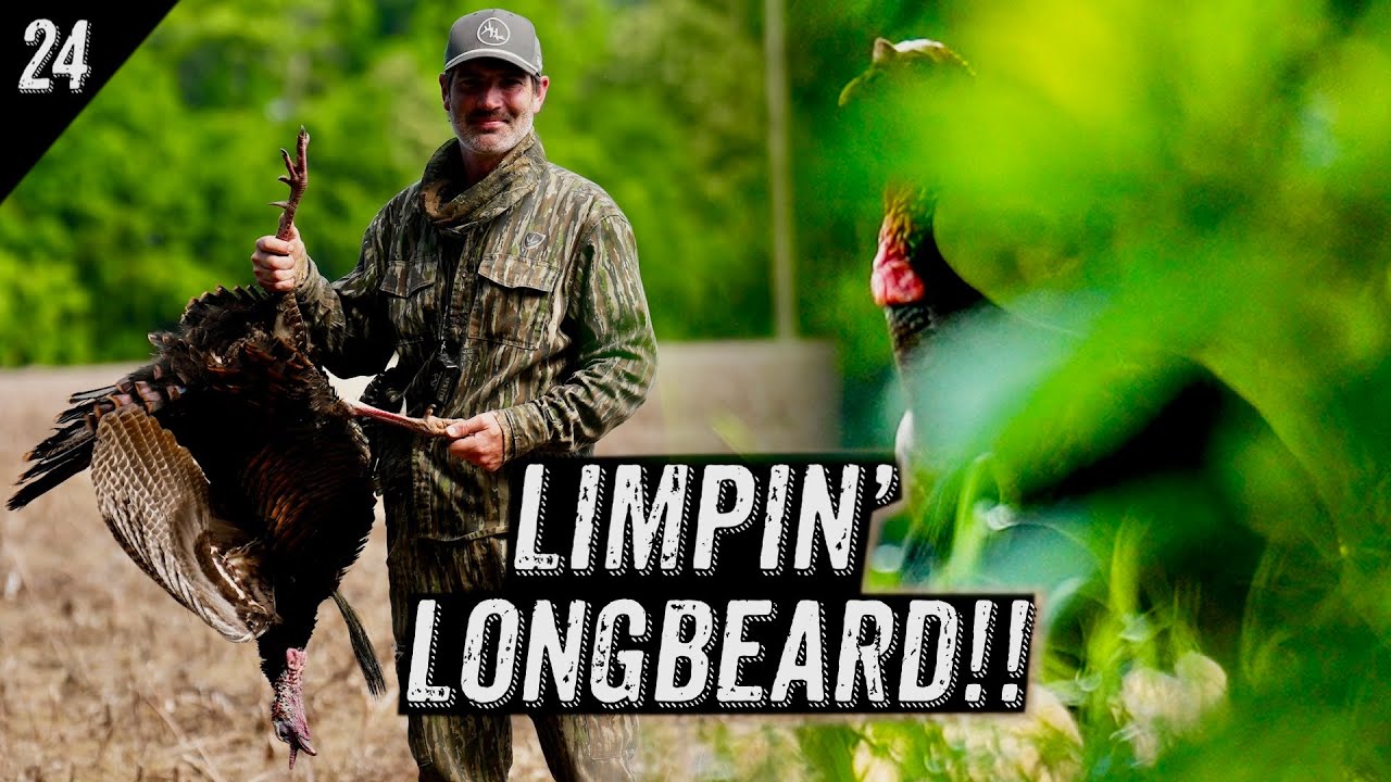 HUNTING A WOUNDED TURKEY!