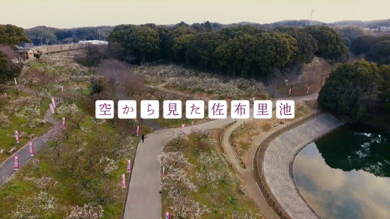空から見た佐布里池　愛知県知多市（ドローン空撮）