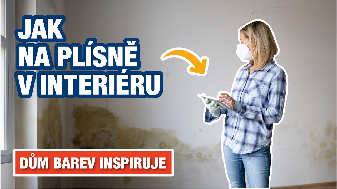 Jak na pl&iacute;sně v interi&eacute;ru | Dům barev