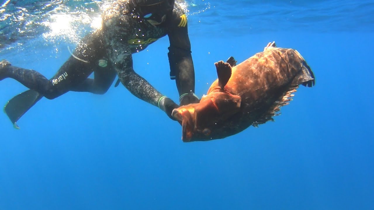 spearfishing adventures #25: “IONIAN DEEP” vol.02