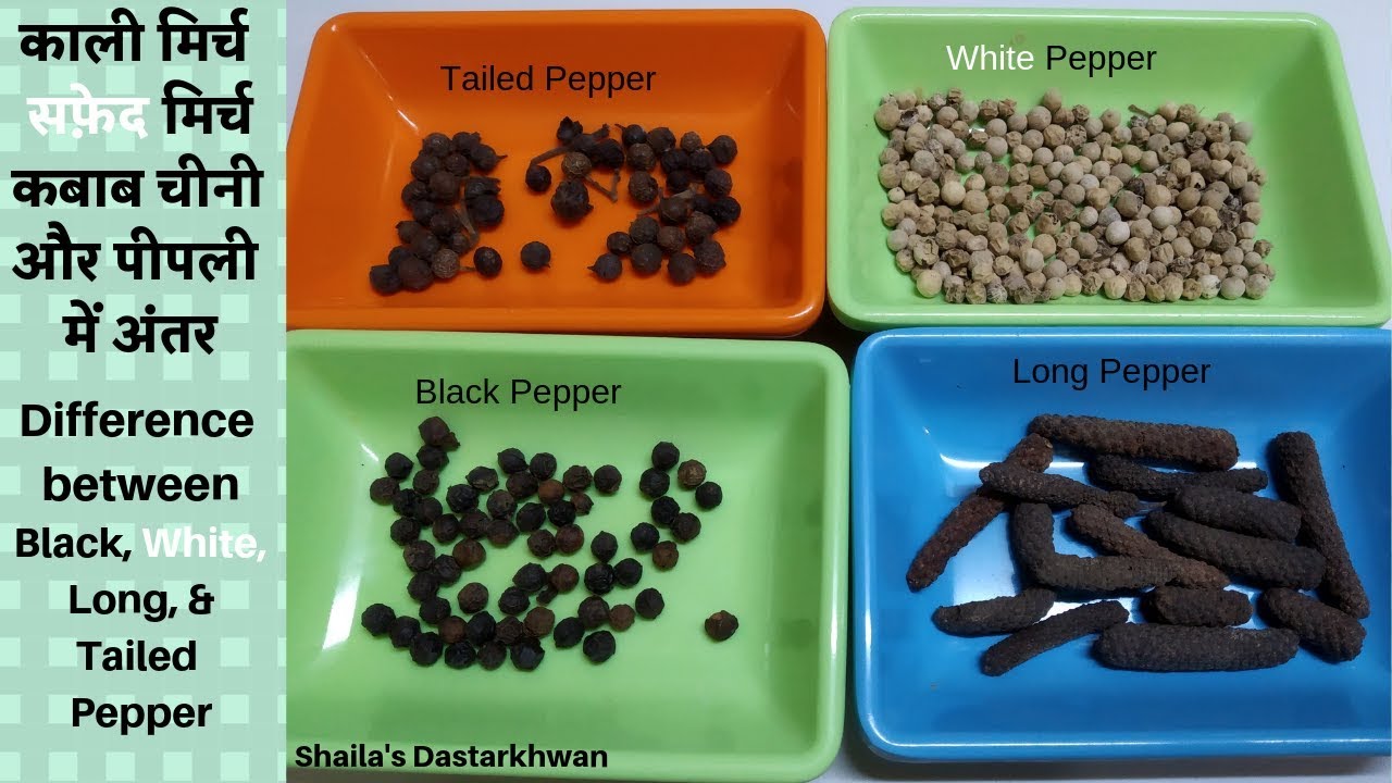 Difference between Black & White Pepper, Tailed & Long Pepperकाली सफ़ेद कबाब चीनी और पीपली में अंतर