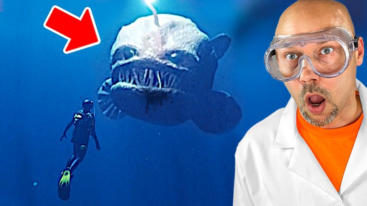 The Ocean Is MUCH SCARIER Than You Think..