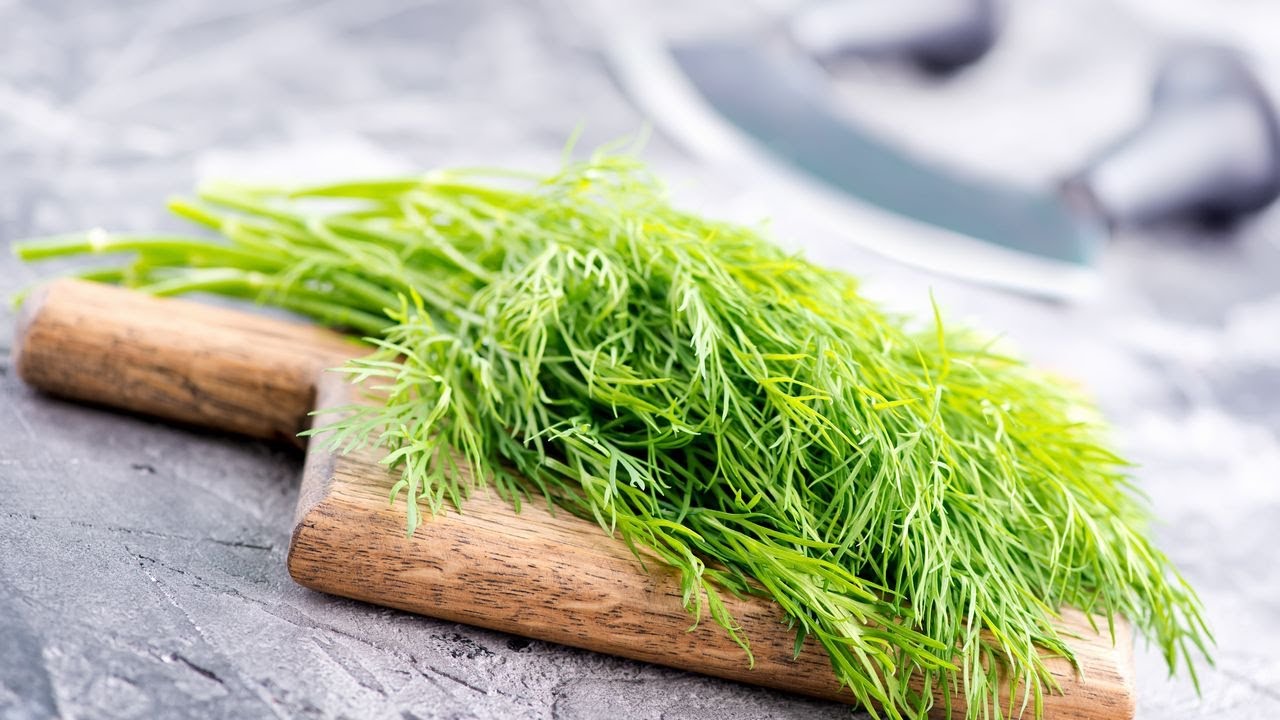 Kopr: v&iacute;ce než jen př&iacute;sada do sal&aacute;tů