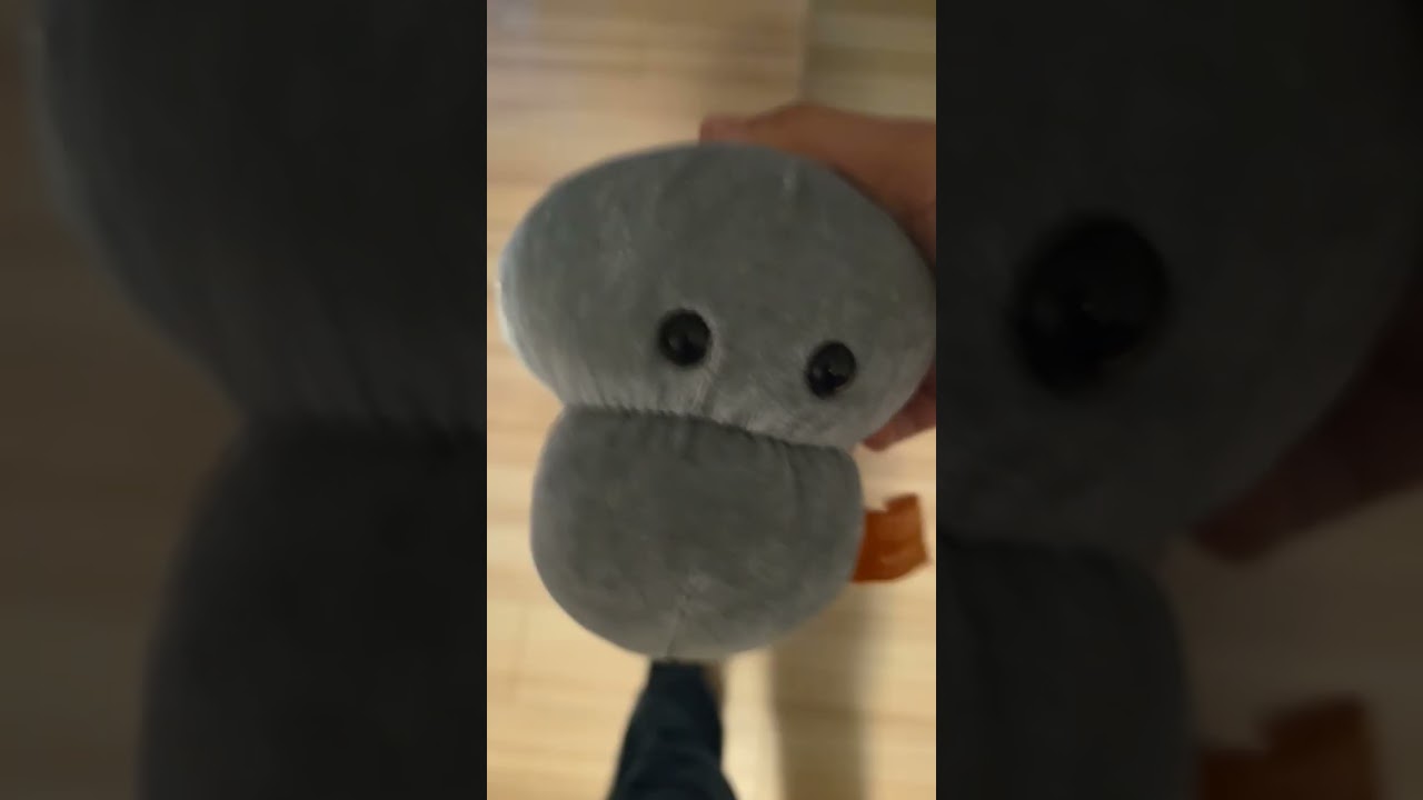 Explicando microorganismos pt 2 (Con 5 peluches).