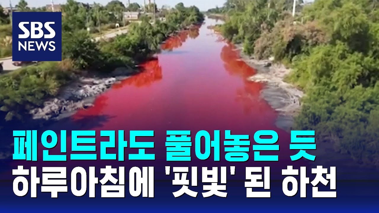 페인트라도 풀어놓은 듯…하루아침에 '핏빛' 된 하천 / SBS / 오클릭