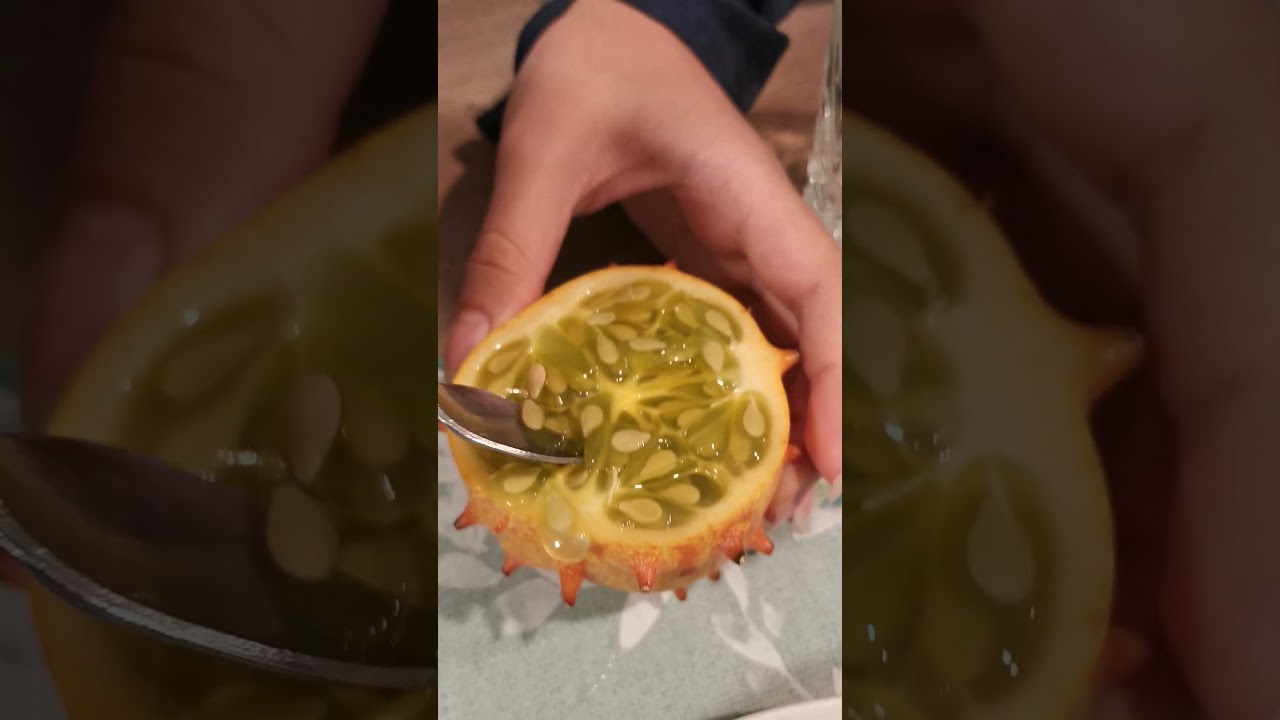 Cucumber? Why does it has spiky orange skin & jelly-like flesh? African horned cucumber/ Spikedmelon