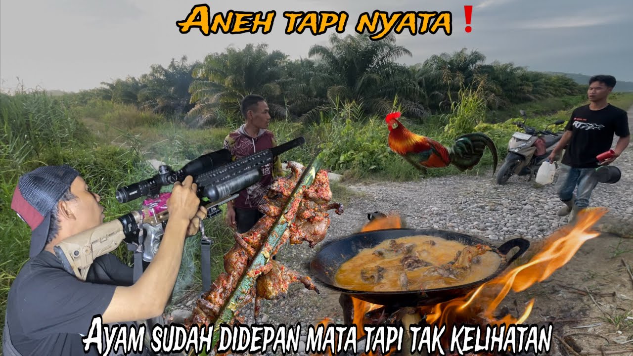 Kejadian aneh saat berburu ayam hutan⁉️ayam hutan sudah jelas didepan mata