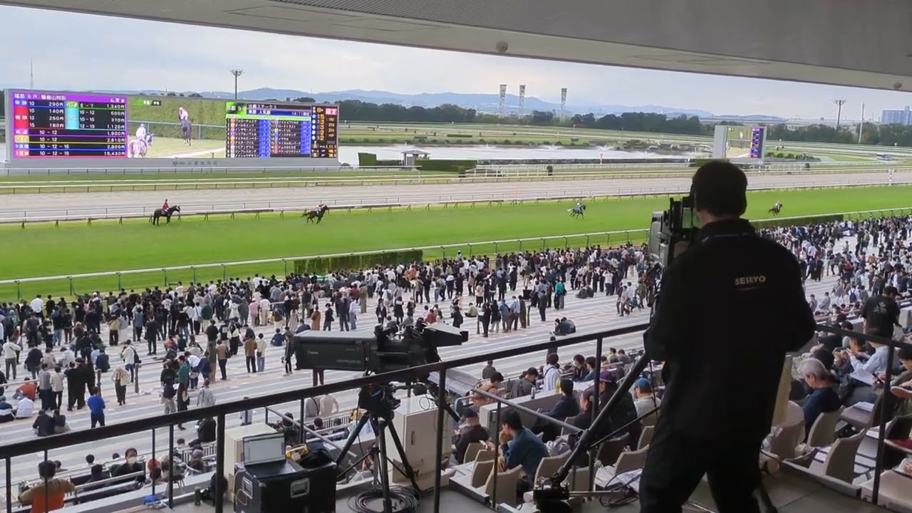 京都競馬場比叡ステークス本馬場入場