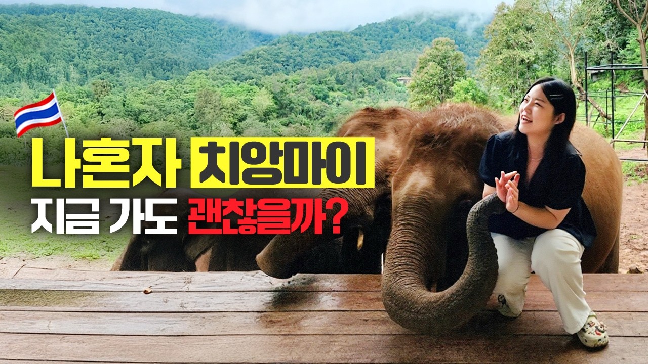 치앙마이 여행 나혼자 가도 안전할까? 🤔  (치안/물가/택시투어/맛집 추천) ep1