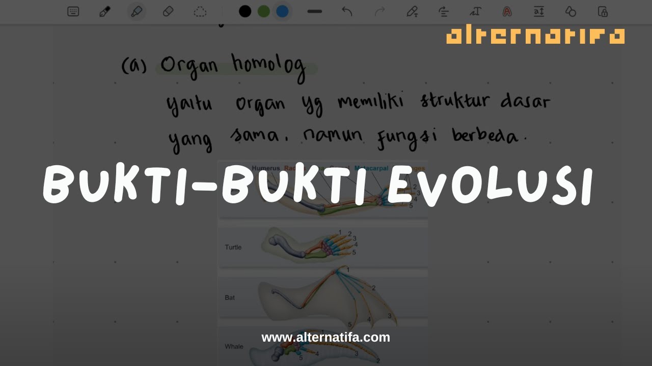 Evolusi: Bukti-Bukti Evolusi | Biologi | Alternatifa
