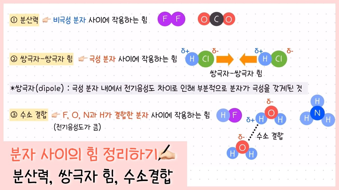 [분자 사이의 힘] 분산력, 쌍극자-쌍극자 힘, 수소 결합