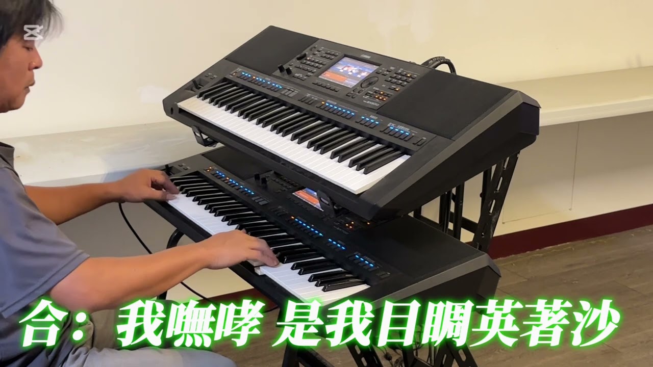 目睭有沙（雙電子琴演奏）