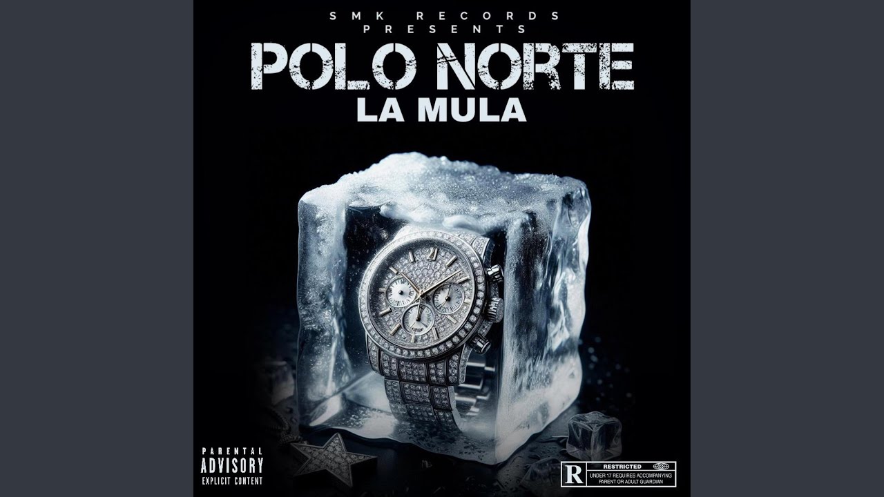 POLO NORTE