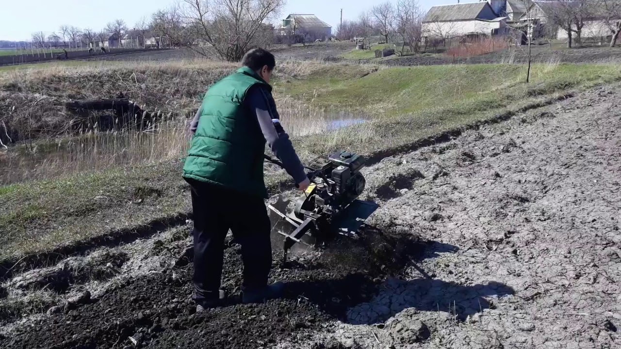 Активная роторная борона на мотоблок и зубовая борона
